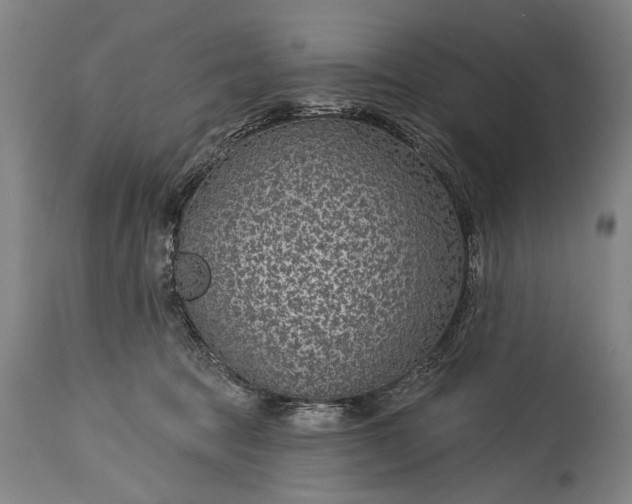 X0000115290369200911161639