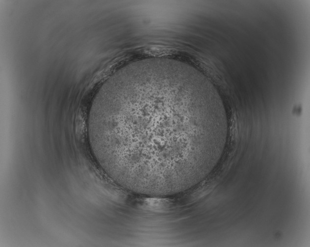 X0000115290371200911161639
