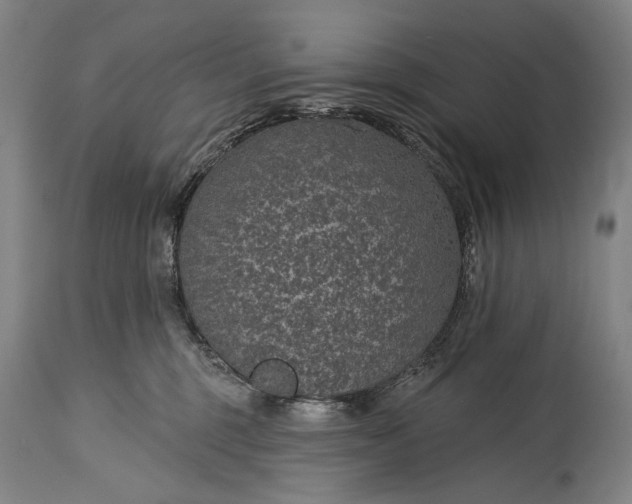X0000115290375200911161640