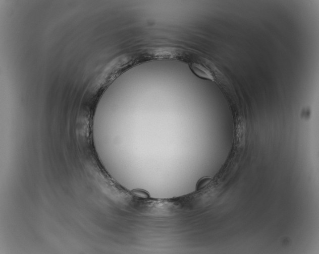 X0000115290379200911161640