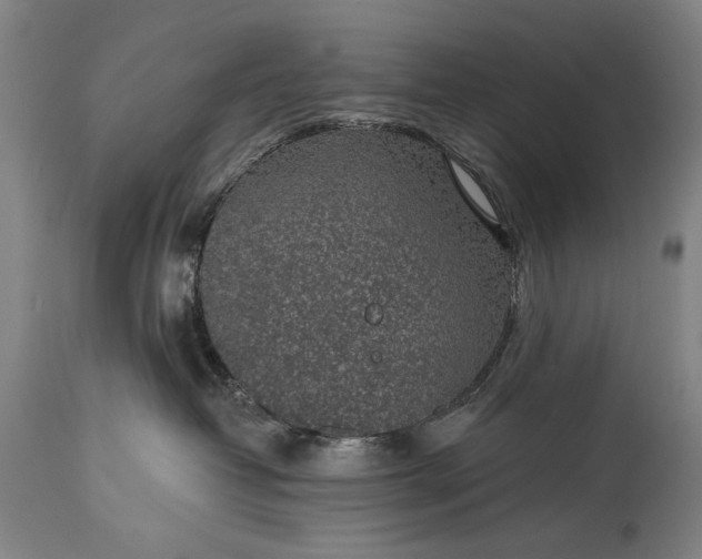 X0000115290382200911161640