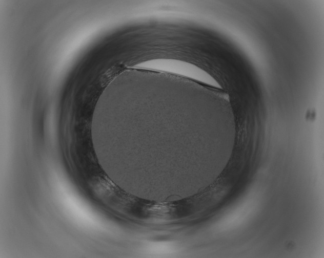 X0000115290383200911161640