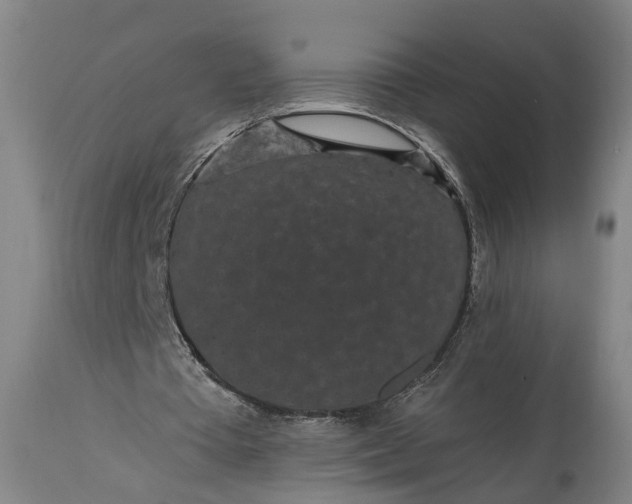 X0000115290385200911161639
