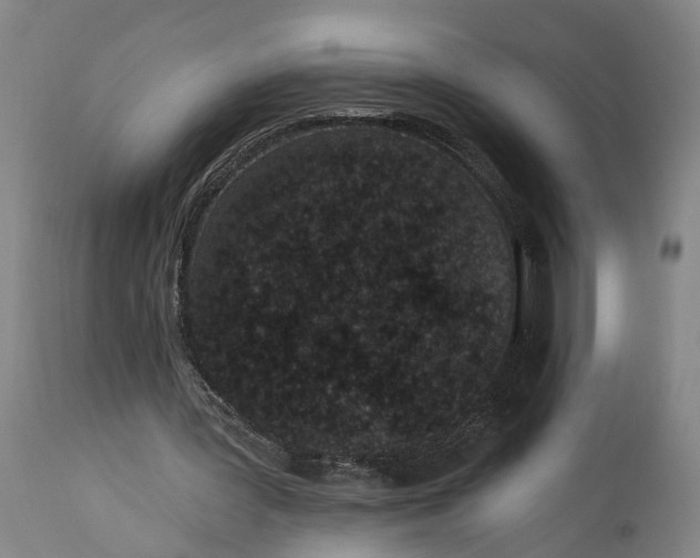 X0000115290387200911161639