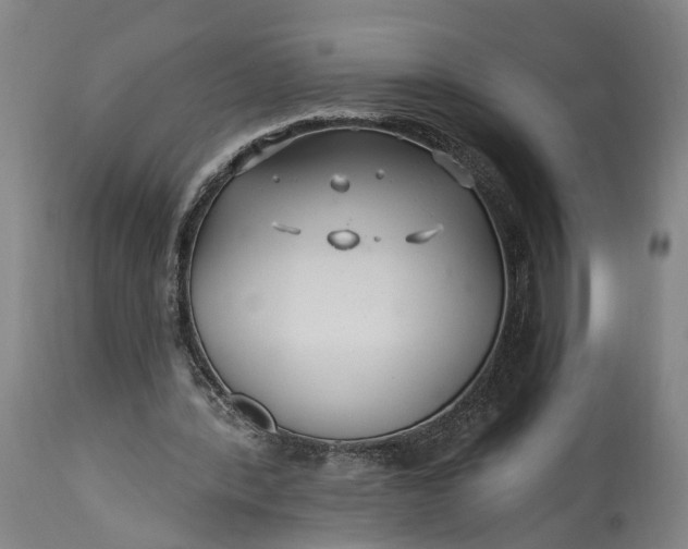 X0000115290388200911161639