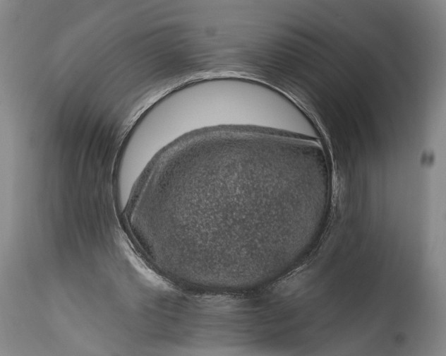 X0000115290389200911161639