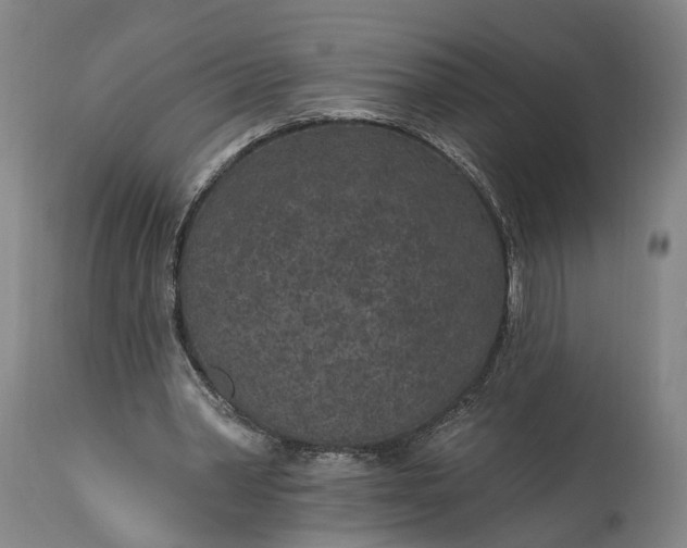 X0000115290390200911161639