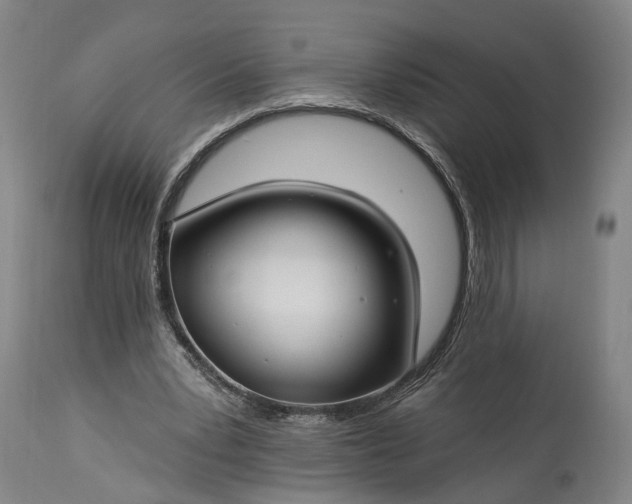 X0000115290391200911161639
