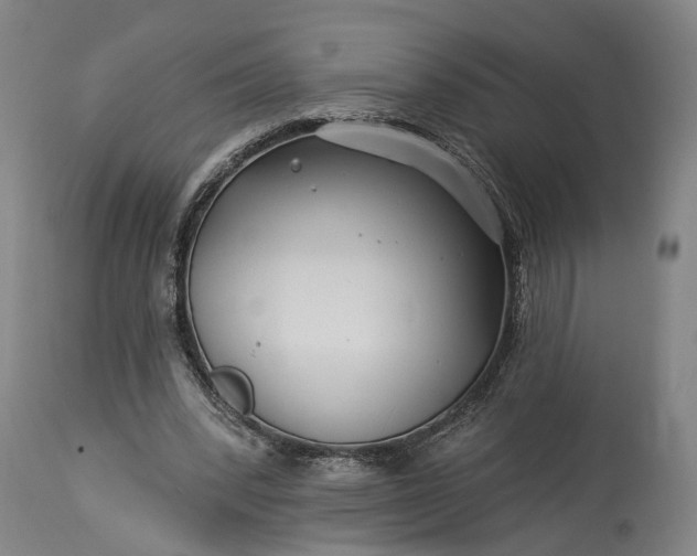 X0000115290392200911161639