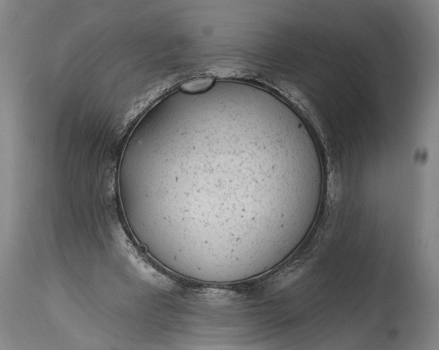 X0000115290393200911161639