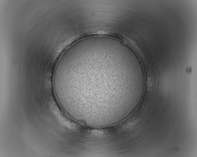 X0000115290394200911161639