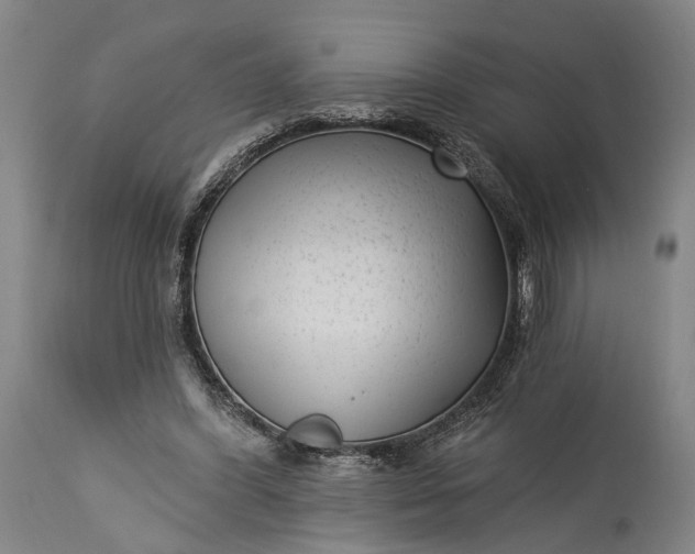 X0000115290396200911161639