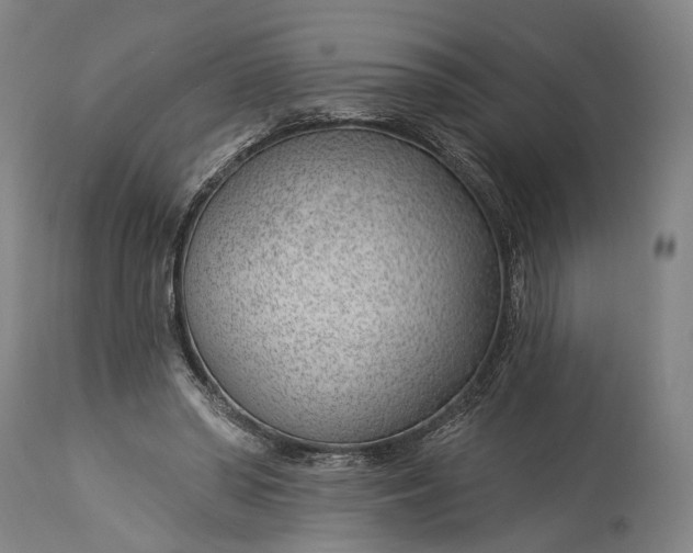 X0000115290398200911161639