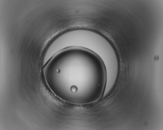 X0000115290399200911161639