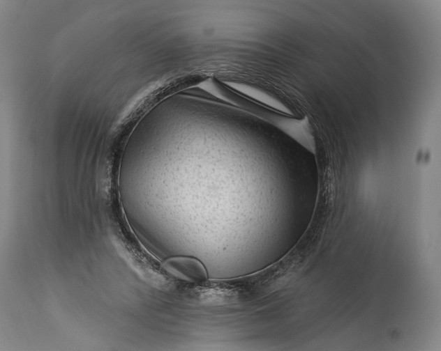 X0000115290400200911161639