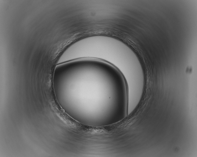 X0000115290401200911161639