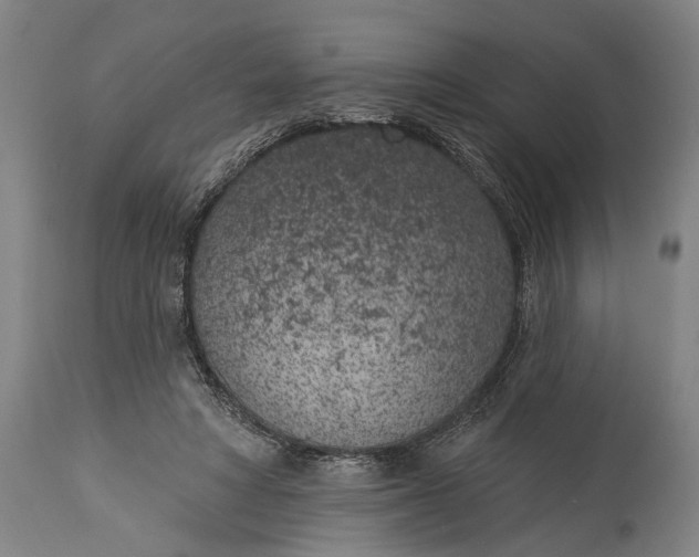 X0000115290402200911161639