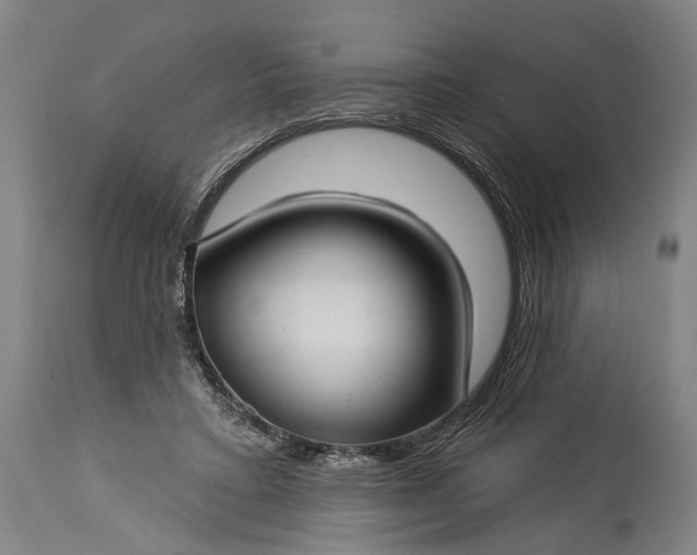 X0000115290403200911161639