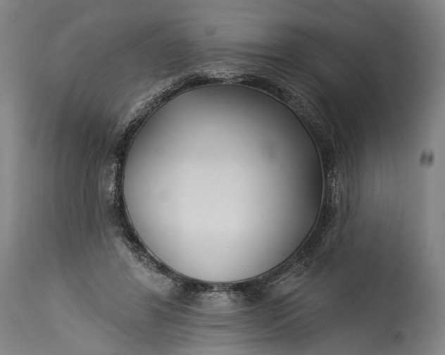 X0000115290404200911161639