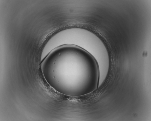 X0000115290407200911161639