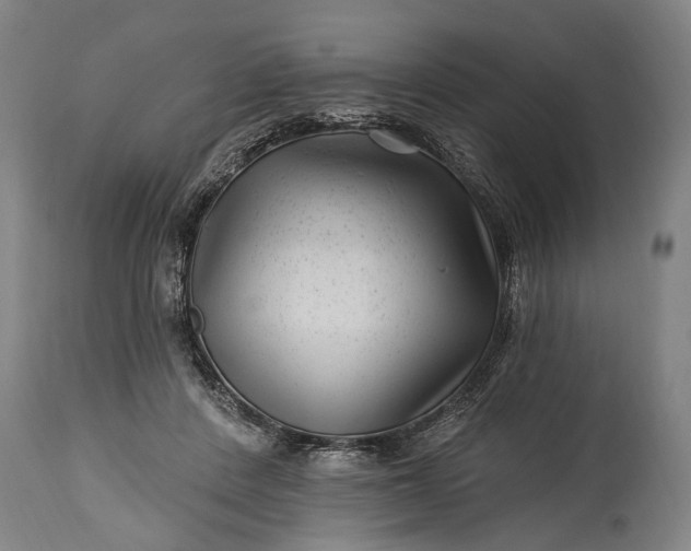 X0000115290408200911161639