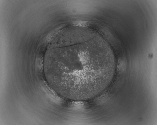 X0000115290409200911161639