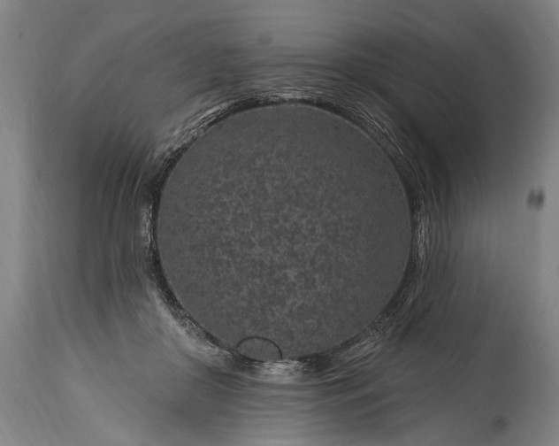 X0000115290410200911161639