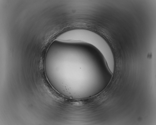 X0000115290411200911161639