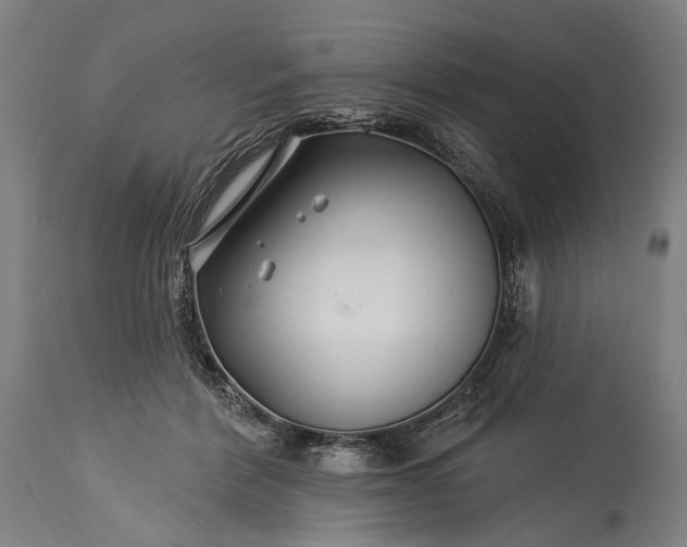 X0000115290412200911161639