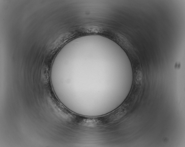 X0000115290414200911161639