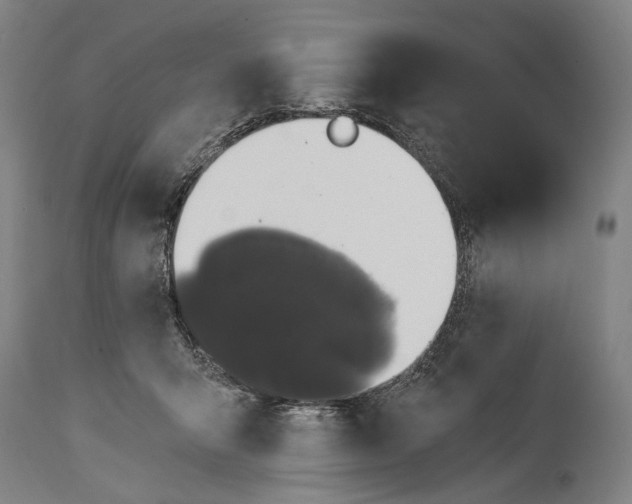 X0000115290415200911161639
