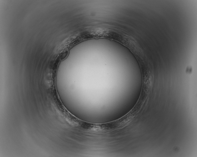 X0000115290416200911161639