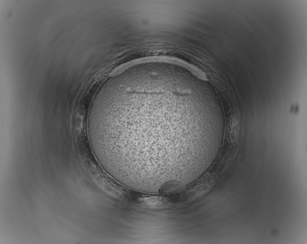X0000115290417200911161639