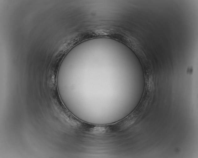 X0000115290418200911161639