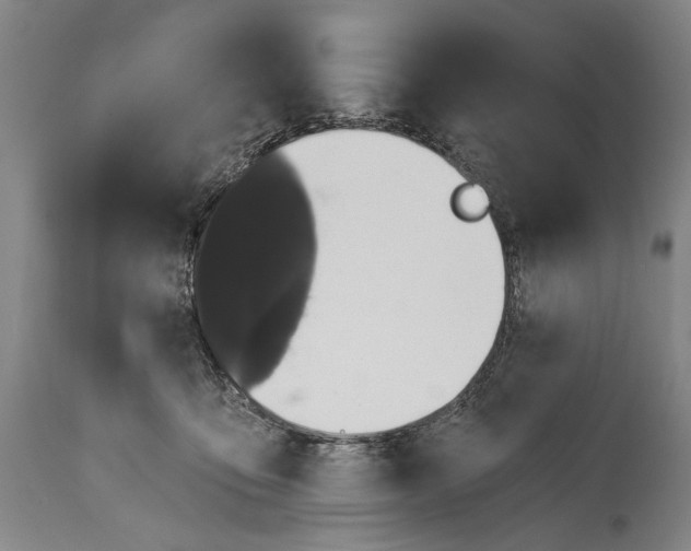 X0000115290419200911161638