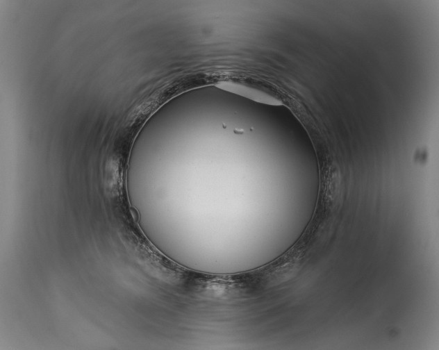 X0000115290420200911161638