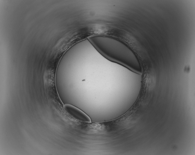 X0000115290421200911161638
