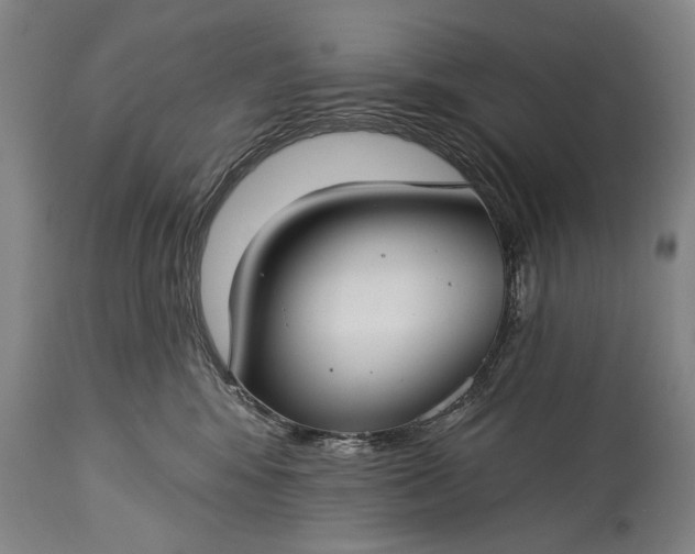X0000115290424200911161638