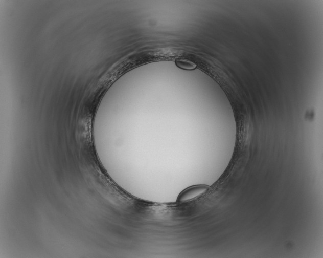 X0000115290425200911161638