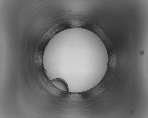 X0000115290426200911161638