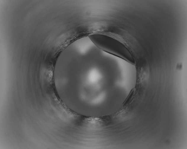 X0000115290427200911161638