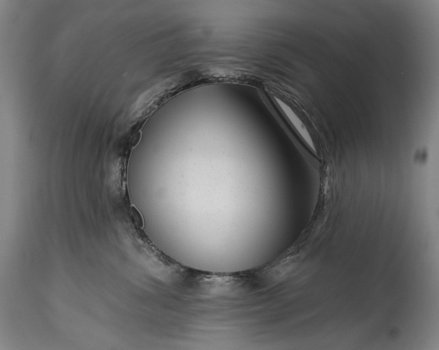 X0000115290428200911161638