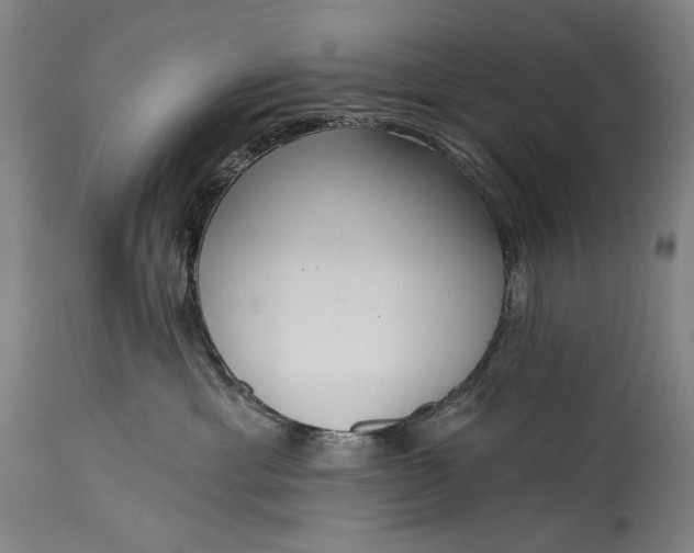 X0000115290429200911161638