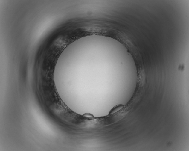 X0000115290430200911161638