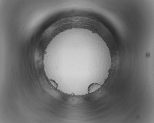 X0000115290431200911161638