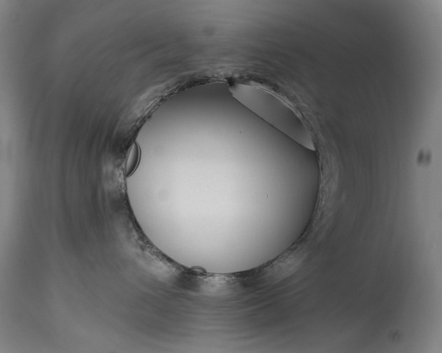 X0000115290432200911161638