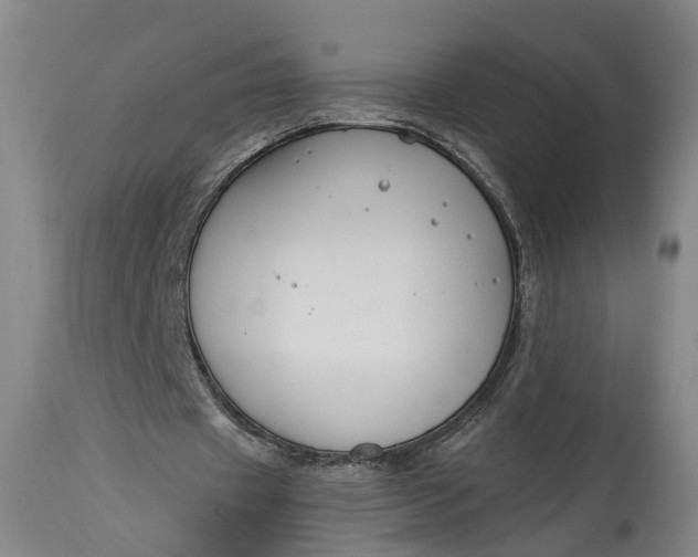 X0000115290433200911161637