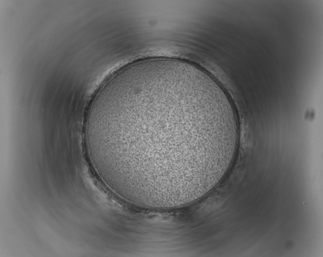 X0000115290434200911161637