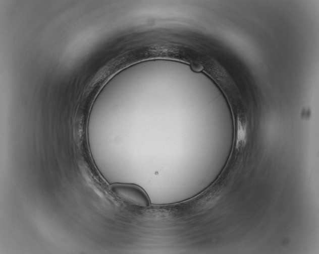 X0000115290435200911161637