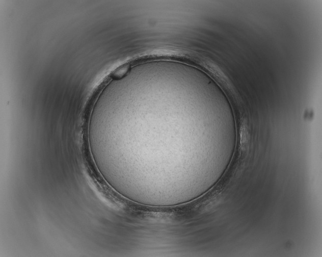 X0000115290436200911161637